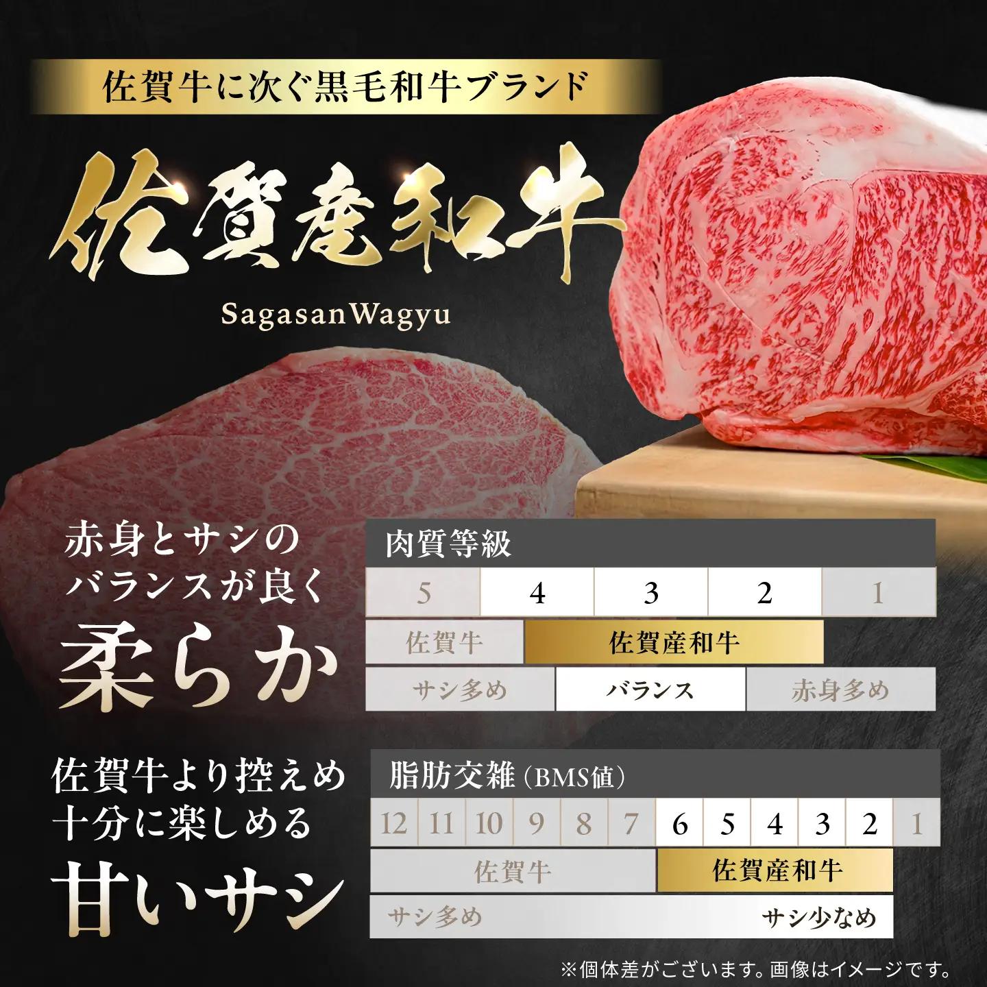佐賀県産黒毛和牛切り落とし 500g×1P 吉野ヶ里町/石丸食肉産業[FBX050]