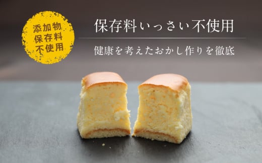 【ギフト用】半熟チーズケーキ5個・半熟ショコラ5個（10個入り×１箱）【ならや】｜チーズケーキ チョコレートケーキ 半熟 ショコラ 贈答用 プレゼント ギフト naraya