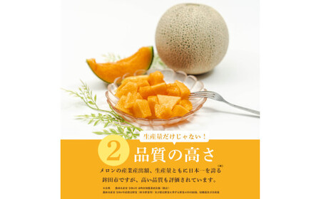 【来年2026年】先行予約！茨城県鉾田市産 むつみレッドメロン（1.2kg以上×3～5個）