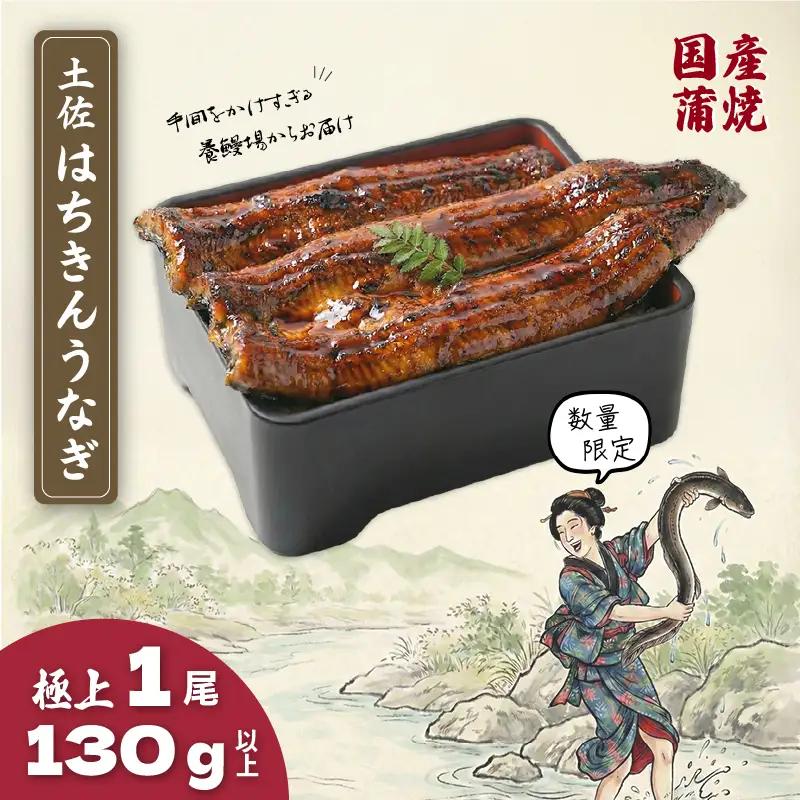 限定 国産 鰻 土佐はちきん うなぎ 蒲焼き 130g以上 × 1尾 | 特上 極上 めす 贈答 南国市