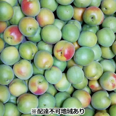 【ふるさと納税】仁科農園産 南高梅 レギュラー 2kg箱 梅 うめ ウメ エキス 梅酒 梅干し 　お届け：2026年5月20日～2026年6月20日