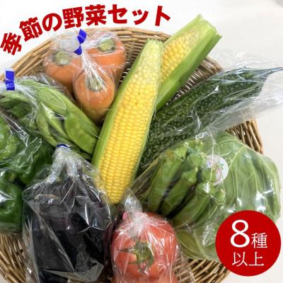 ふるさと納税 日高町 ファーマーズマーケット厳選　日高からの贈り物　季節の野菜セット(8種以上)【野菜詰め合わせ】