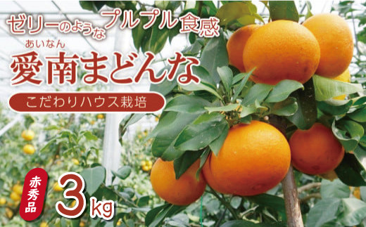 
                  【先行予約】贈答用 愛南 まどんな 約 3kg 赤秀品 みかん 10000円 愛果28号 あいか アイカ 高級 人気 ブランド 柑橘 果物 フルーツ ハウス栽培 施設栽培 ギフト プレゼント 数量限定 期間限定 産地直送 国産 農家直送 特産品 お取り寄せ mikan 蜜柑 ミカン マドンナ 甘い おいしい ゼリー  果樹園みどり 愛南町 愛媛県 発送：2026年11月中旬～なくなり次第終了
                