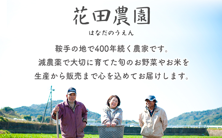ブロッコリー 花田農園 の ブロッコリー 10個 花田農園 《11月下旬-3月末頃出荷》福岡県 鞍手町 ぶろっこりー 野菜 ブロッコリー 産地直送 送料無料---skr_chndbr_cf113_25