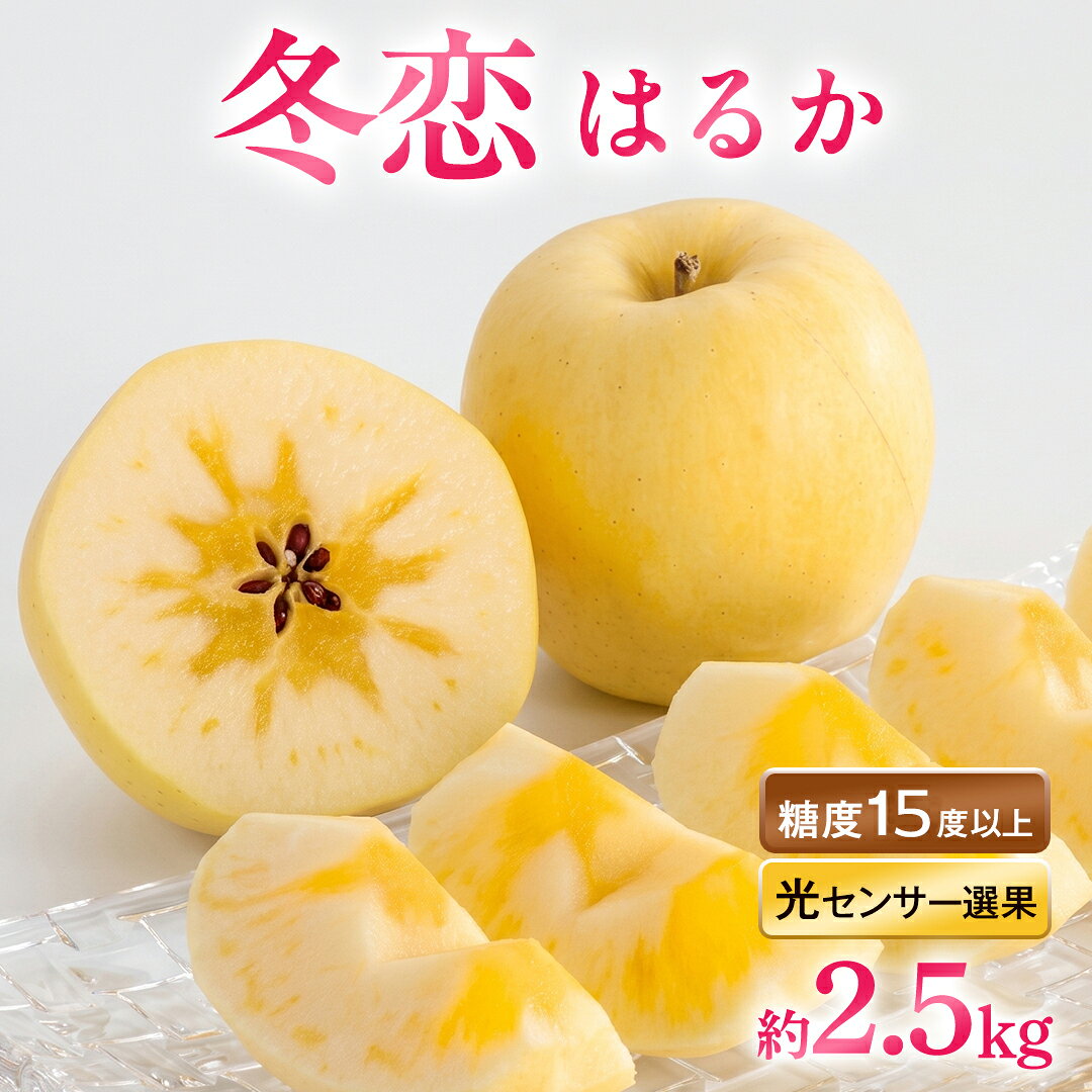 【ふるさと納税】りんご「冬恋はるか」蜜入り保証 糖度15度以上 約2.5kg【先行予約 12月発送】数量限定 岩手県産 ブランド ギフト 高級 フルーツ お歳暮 贈答用 黄色いりんご 蜜入りりんご リンゴ 林檎 冬恋 はるか 果物【冬恋研究会】(AI022)