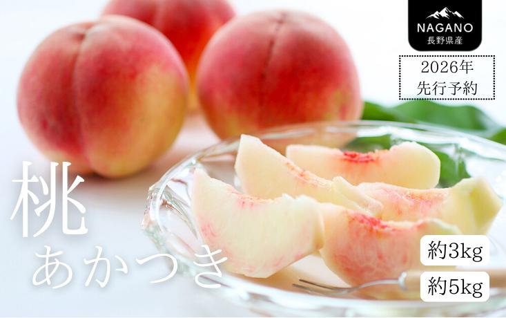 
            【先行予約】 桃 あかつき（長野県産秀品） 約3kg or 約5kg / 2026年7月中旬～8月中旬頃 配送予定 // 長野県 南信州 モモ 贈答 ギフト 秀品 産地直送 もも 甘い MS26 MS27
          