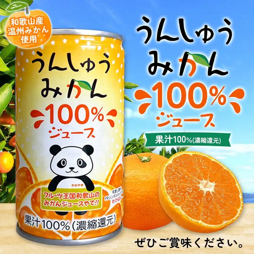 うんしゅうみかん 果汁100%（濃縮還元）30缶 