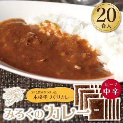 Z27-05 寄附額改定↓↓ みろくのカレー20食（中辛） カレー