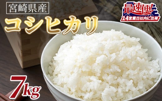 ＜令和7年度産　宮崎県産コシヒカリ　7kg＞14営業日以内に順次出荷【 国産 米 お米 最速便 白米 精米 こしひかり ごはん ご飯 白飯 食品 】