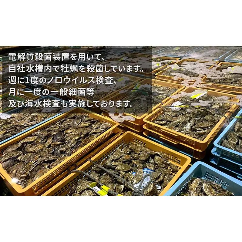 牡蠣 LLサイズ 20個 カキえもん 厚岸で産まれ30ヵ月育成 牡蠣