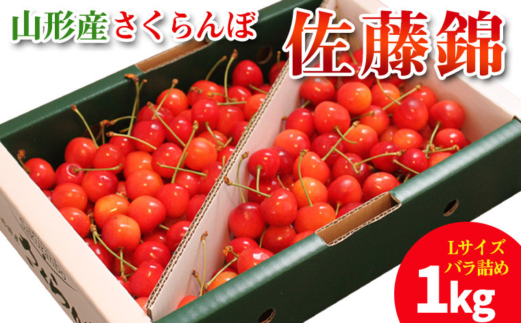 
            山形産 さくらんぼ 佐藤錦 1kg Lサイズ バラ詰め  【令和8年産先行予約】FY25-704くだもの 果物 フルーツ 山形 山形県 山形市 2026年産
          