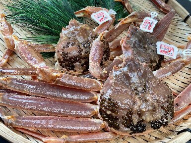 【ふるさと納税】訳あり松葉がに 1kgセット 鳥取県網代産｜鳥取県 岩美町 蟹 かに カニ 松葉がに 松葉ガニ ズワイガニ 訳あり 訳アリ 新鮮 魚介 冷蔵【22016】