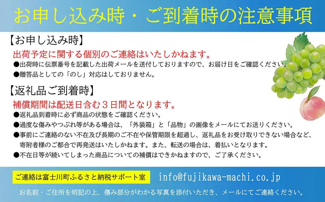 【令和８年度先行予約】贈答用！希少価値の高い高級シャインマスカット（１房 ６００ｇ以上）　シャイン シャインマスカット マスカット 葡萄 ぶどう ブドウ 果物 くだもの フルーツ 山梨 やまなし 富士