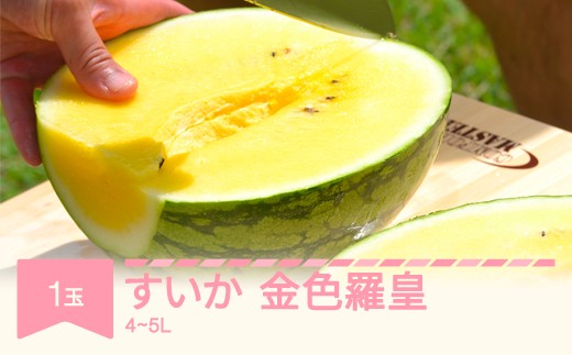 
                  【先行予約】 すいか 大玉 金色羅皇 4L~5L×1玉 令和8年産 山形県村山市産 mk-sukrx41
                