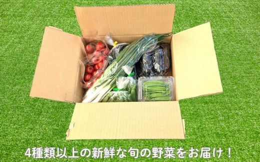 《定期便3ヶ月》旬のおまかせ野菜セット　4種類以上