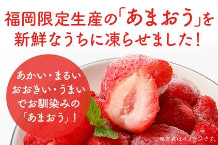 福岡県産【博多冷凍あまおう】 約1kg 産地直送 産直 朝採れ 朝採り 新鮮 瞬間冷凍 いちご イチゴ 苺 お取り寄せグルメ お取り寄せ 福岡 お土産 九州 福岡土産 取り寄せ グルメ 福岡県 ※北海