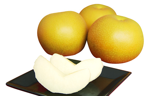 【 先行予約 】【 8月分 数量限定 】 茨城県産 「 あきづき 」 約5kg 【 2025年8月下旬～9月中旬にかけて発送予定 】【 梨 果物 くだもの フルーツ 国産 季節限定 人気 贈り物 お取