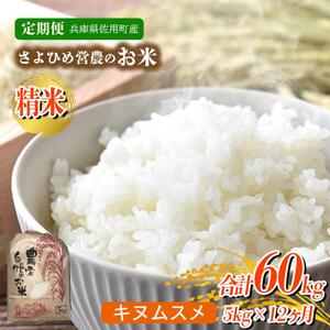 【12ヵ月定期便】兵庫県佐用町産 お米 5kg×12ヵ月 (計60kg)  精米 キヌムスメ