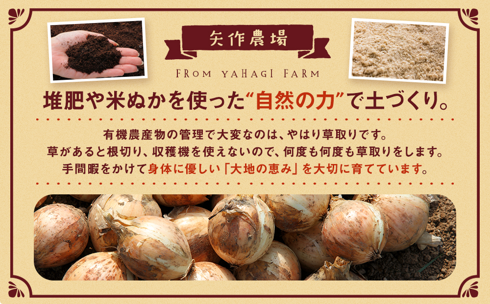 R7年産 有機農産物 玉ねぎ 20kg (有)矢作農場 | 玉ねぎ たまねぎ タマネギ 玉葱 大容量 オニオン 甘い 有機栽培 国産 産地直送 カレー ハンバーグ 煮込み 炒め物 北海道 津別町 送料
