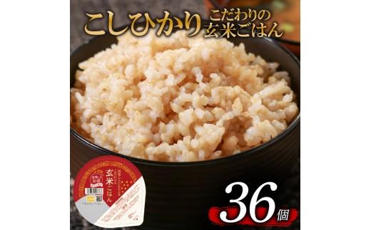 こしひかり 玄米ごはんパック 120g 36個 玄米 米 お米 ごはん ご飯 こめ パックライス パックご飯 パックごはん ご飯パック ごはんパック パック ライス 備蓄 保存 非常 防災 電子 レン