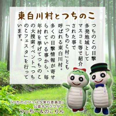 ふるさと納税 東白川村 つちのこフェスタ実行委員会公認キャラクター つっちー&のこりん ぬいぐるみキーホルダー(ペア) |  | 03