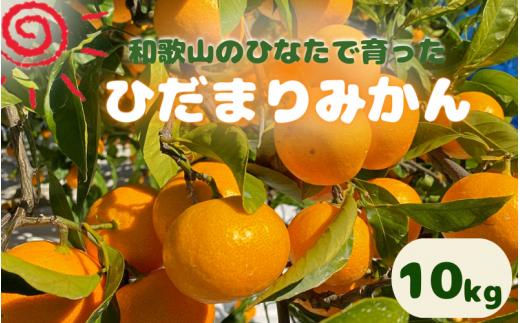 ＜先行予約＞日向屋 ひだまりみかん　10kg ※2024年12月頃に順次発送予定【期間限定・先行予約・2024/11/30まで】  / 田辺市 みかん 期間限定 先行予約 ミカン 和歌山 紀州