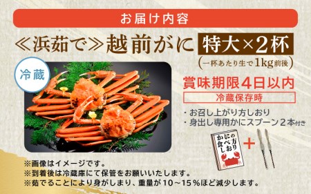 越前がに本場の越前町からお届け！越前がに浜茹で特大サイズ（生で1kg前後）×2杯【かに カニ 蟹】【3月発送分】 [e15-x013_03] かにの食べ方しおり かにスプーン付き 福井県 雄 ズワイガ