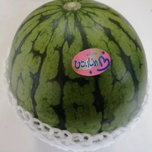 【0415-4】御坊産小玉すいか ひとりじめ L～2L寸（2玉約4～5kg）《先行予約》【2026年5月中旬頃から順次発送予定】