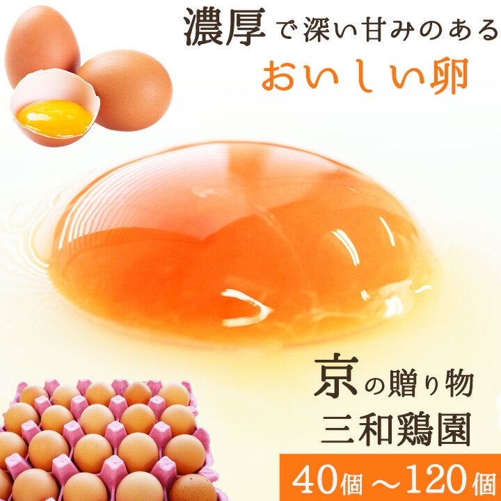 【ふるさと納税】 卵 40〜120個 無選別 MS〜LL 京の贈り物 割れ保証含む 20個×2～6パック 選べる 容量 玉子 たまご 鶏卵 甘い 赤卵 まとめ買い 新鮮 直送 冷蔵 木酢液 たくさん オムレツ 卵かけ ゆで卵 朝食 料理 人気 三和鶏園 京都 舞鶴