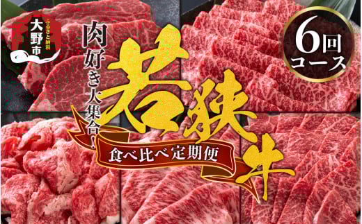 【肉の定期便×6回コース】肉好き大集合！若狭牛 食べ比べ 定期便！【福井のブランド牛肉】【4等級以上】