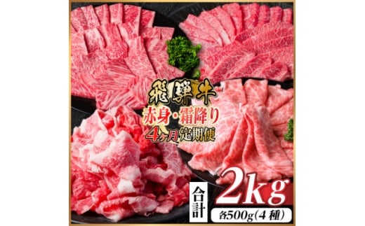 ＜毎月定期便＞飛騨牛　赤身・霜降り定期便　計2kg カルビ・赤身・ロース(焼肉・BBQ用)全4回【4075143】
