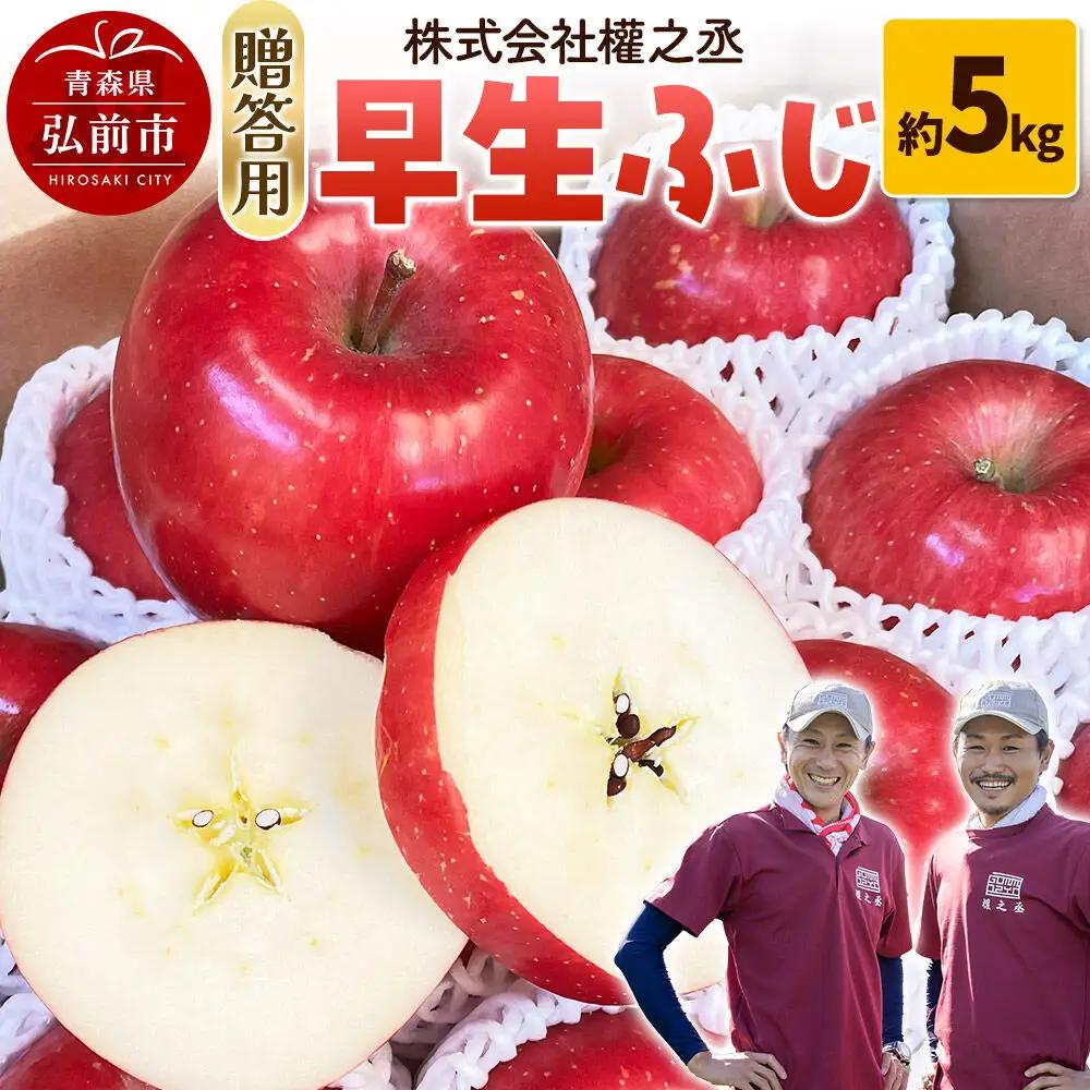 りんご 早生ふじ【贈答用】約5kg 權之丞farm 青森県 弘前市 果物 フルーツ 林檎 リンゴ くだもの ギフト 贈り物