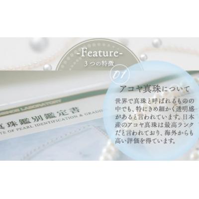ふるさと納税 笠岡市 あこや真珠(ホワイトピンクのイヤリング8.0mm〜8.5mm)ケース付き【F-02-WP ER】 |  | 01