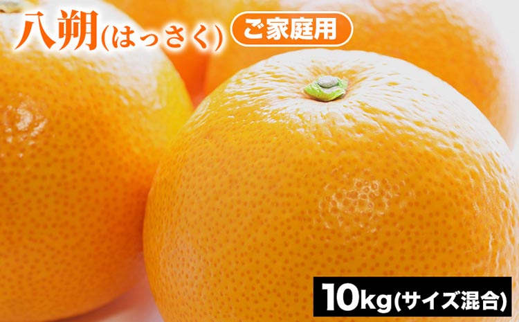 
            ご家庭用 八朔 (はっさく) サイズ混合 10kg | みかん 柑橘 和歌山 みかん 八朔 はっさく 家庭用 フルーツ 果物 10kg ※2026年1月下旬～3月下旬頃に順次発送予定
          