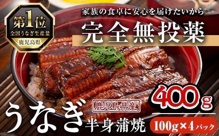 
            鹿児島県産うなぎ半身カットセット (100g×4パック、タレ・山椒付き) 鰻 ウナギ うな重 ひつまぶし かばやき 九州産 国産 冷凍 真空パック カットうなぎ 蒲焼き【西日本養鰻】A585
          
