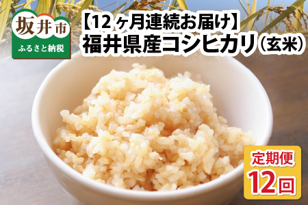 【先行予約】【令和7年産・新米】【農家直送定期便 12ヶ月コース】【玄米】 本原農園のまごころコメた 福井県産 コシヒカリ 5kg × 12回 計60kg 【2025年10月上旬以降順次発送予定】 [K-8901_02]