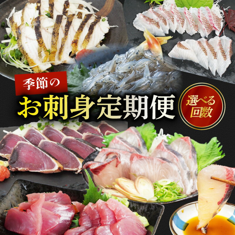 【ふるさと納税】 選べる回数 刺身 定期便 産地直送 刺身 カット済み 高知 厳選 お任せ 春夏秋冬 お楽しみ 冷凍 かんたん解凍 お手軽 かつおタタキ 真鯛 ブリ マグロ 生しらす ( ドロメ ) カンパチ シマアジ イサキ メジナ うつぼ サワラ炙り 海鮮 おつまみ 高知県 須崎市