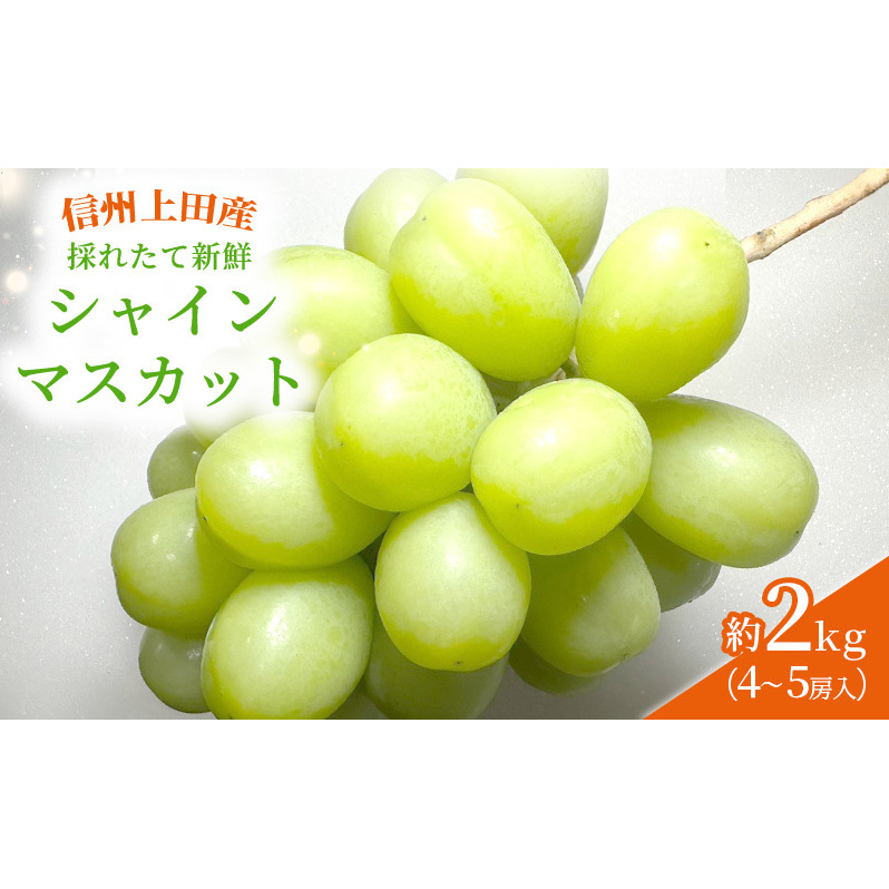 【2026年先行予約】シャインマスカット 信州上田産金剛寺ぶどう 約2kg 4～5房 ぶどう 葡萄 ブドウ マスカット 2kg 果物 くだもの フルーツ デザート 旬の果物 旬のフルーツ 長野県 長野