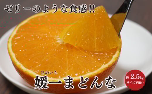
            ＜2025年11月以降発送＞ゼリーのような食感!「媛一まどんな」約2.5kg入＜C28-42＞【1437098】
          