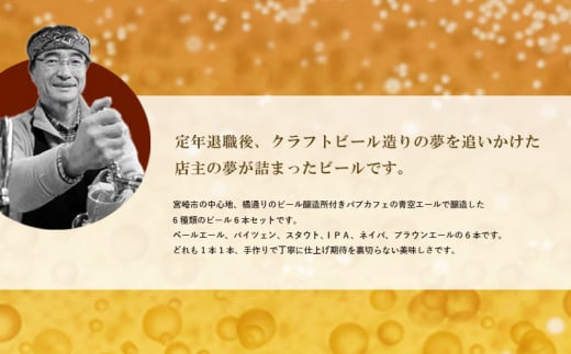 青空エールこだわりのクラフトビール飲み比べ詰め合わせセット6種6本（500mlペットボトル×6本）_M170-004