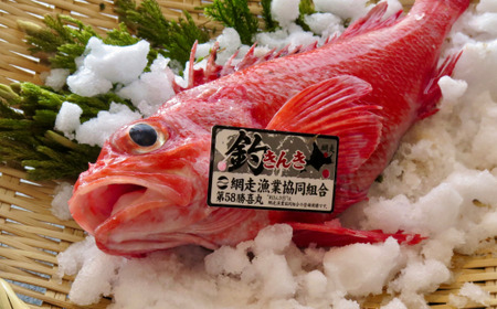 高級ブランド釣きんき一夜干【Lサイズ】  2尾 ABJ015