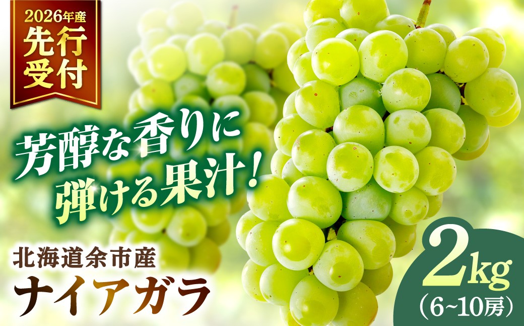 
                  【2026年産 先行予約】＜北海道余市産＞ご家庭用 ナイアガラ 2kg(6～10房)
                