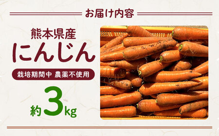 【先行予約】にんじん 約3kg 天日塩＆発酵土壌で作ったこだわりの人参 【株式会社 夢アグリ】[ZCL018]