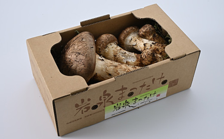 【自家用】岩泉まつたけ 500g_野菜 松茸 きのこ まつたけ マツタケ_【配送不可地域：離島】【1421552】