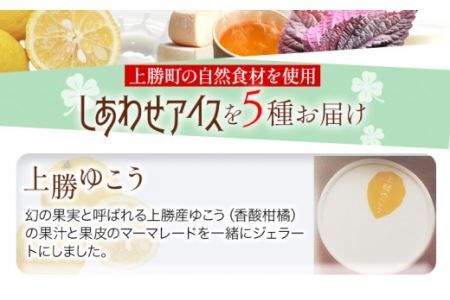 しあわせアイス 5種 セット 計8個 彩食品グループ 《30日以内に出荷予定(土日祝除く)》アイス アイスクリーム ご当地 スイーツ ご当地 アイス 特産品 柑橘 柚香 晩茶 お取り寄せ カップ ジェ