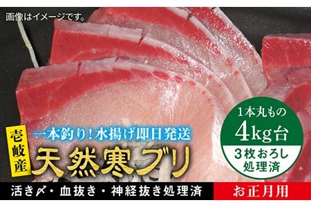 【11/1〜1/15お届け 年末年始用】天然 寒ブリ（4キロ台・3枚おろし） 《壱岐市》【壱岐島　玄海屋】[JBS022] ぶり 寒ぶり ブリ 魚 刺身 しゃぶしゃぶ 69000 69000円 のし プレゼント ギフト 冷蔵配送 九州
