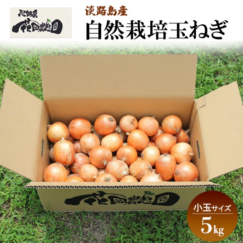 【ふるさと納税】淡路島産 栽培期間中 無肥料・無農薬・自然栽培玉ねぎ 小玉サイズ 5kg 兵庫県 洲本市 淡路島 　お届け：5月～10月
