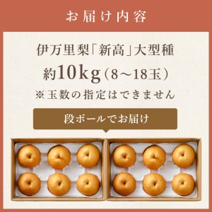 【令和6年産先行予約】伊万里梨「新高」 10kg (約5kg×2箱)  B166