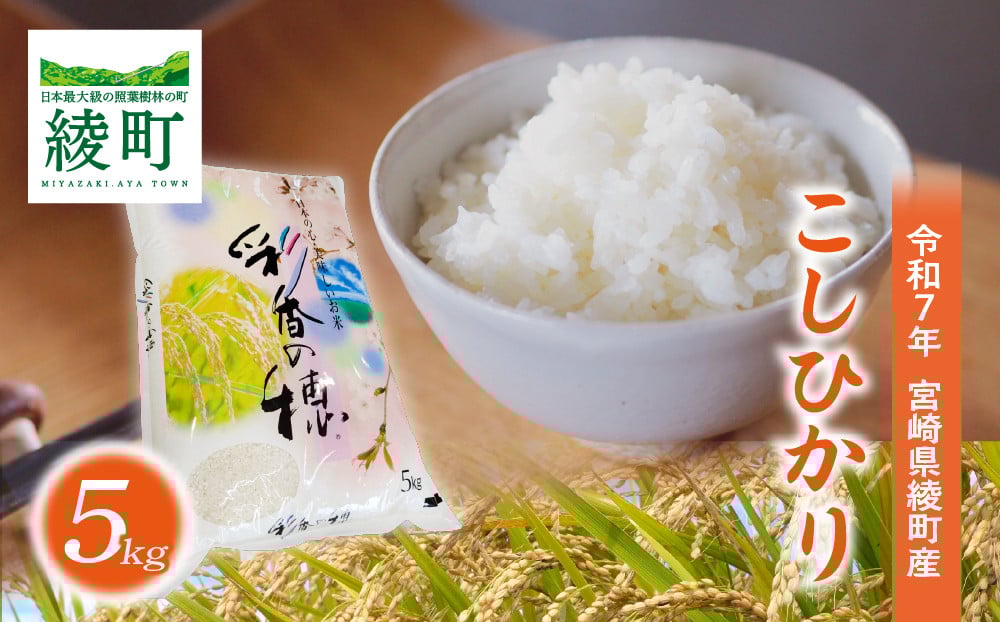 
            綾町産こしひかり「米5kg」
          