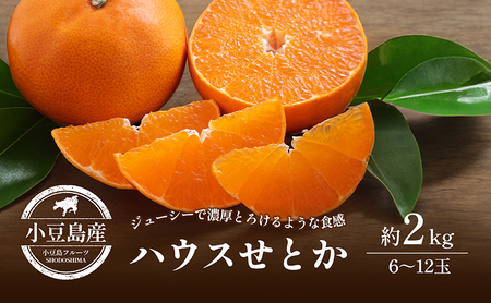 【 小豆島 】小豆島　ハウスせとか　約2kg